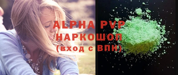 стаф Кодинск